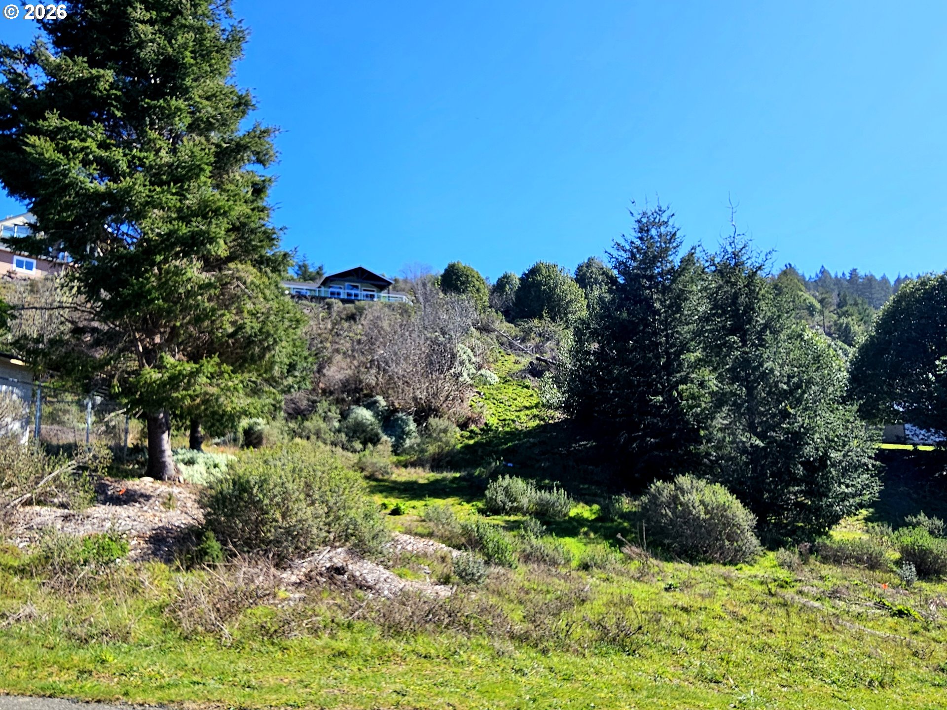 98007 Crown Terrace, Unit 7 Brookings, OR 97415 - Photo 5 of 18 a view of a garden with a tree