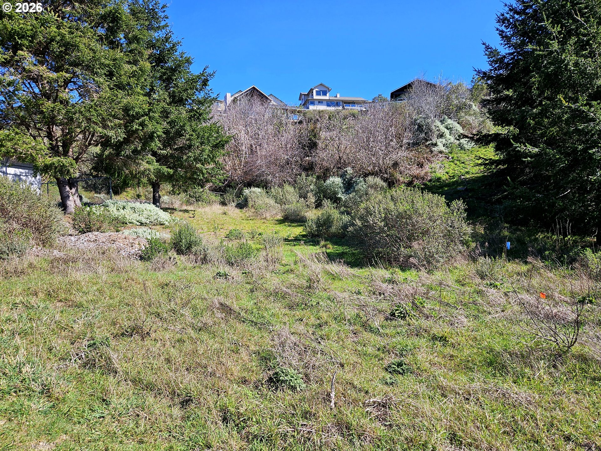 98007 Crown Terrace, Unit 7 Brookings, OR 97415 - Photo 9 of 18 a view of a plants in a yard
