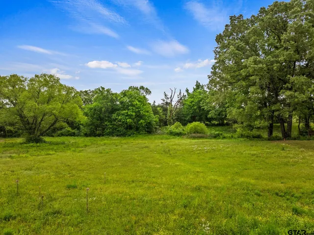a view of an outdoor space and yard
