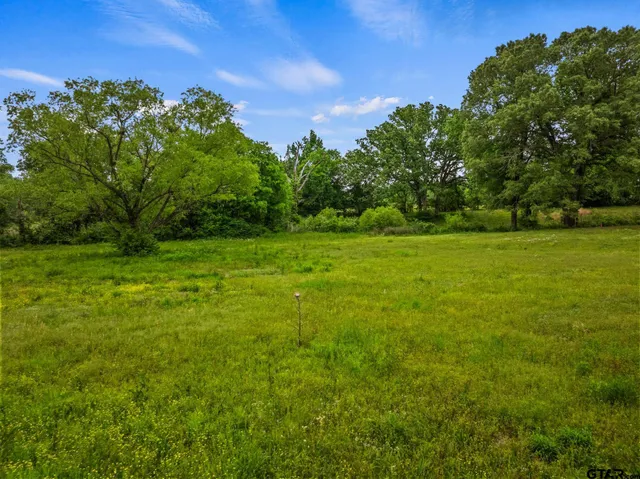 a view of a grassy field with trees in the background