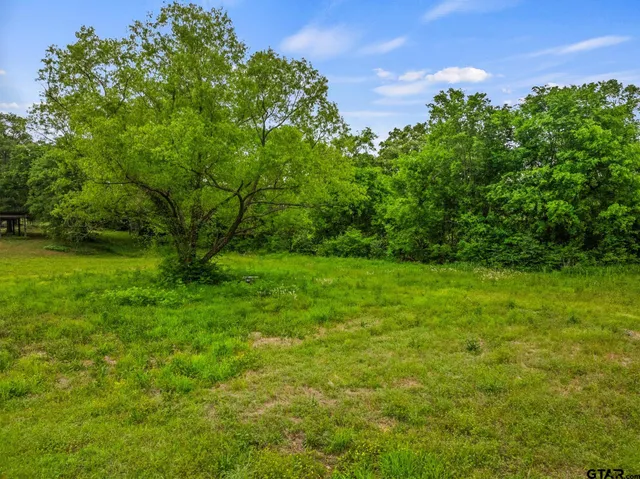 a view of yard with green space
