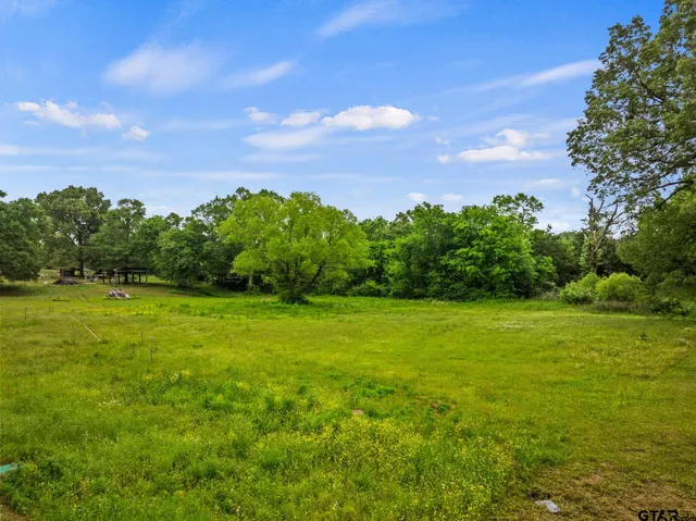 a view of a field with plants and trees in the background