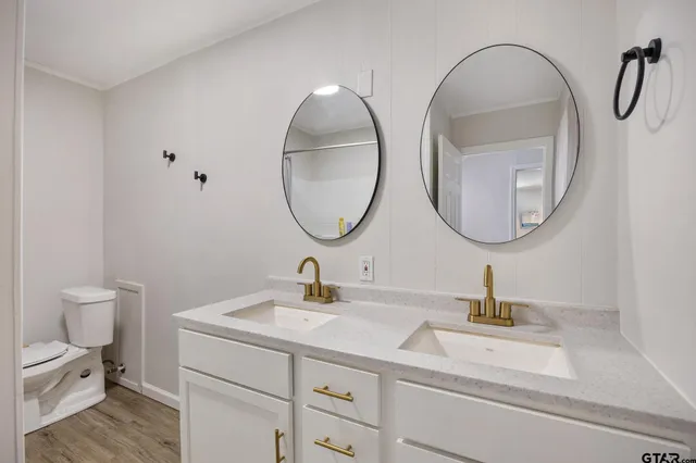 a bathroom with a toilet a sink and a mirror
