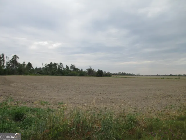 $114,950 | 8600022-t3 8600022-t3 Redbird Road, Lumber City, GA 31549