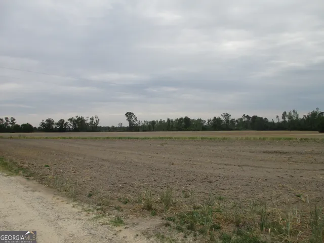 $114,950 | 8600022-t3 8600022-t3 Redbird Road, Lumber City, GA 31549