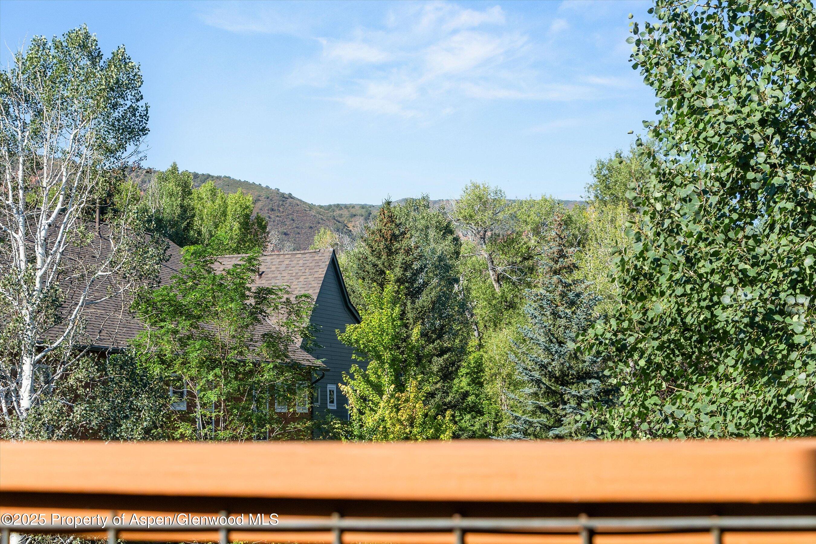 540 Evans Court Basalt, CO 81621 - Photo 11 of 24 a view of a yard