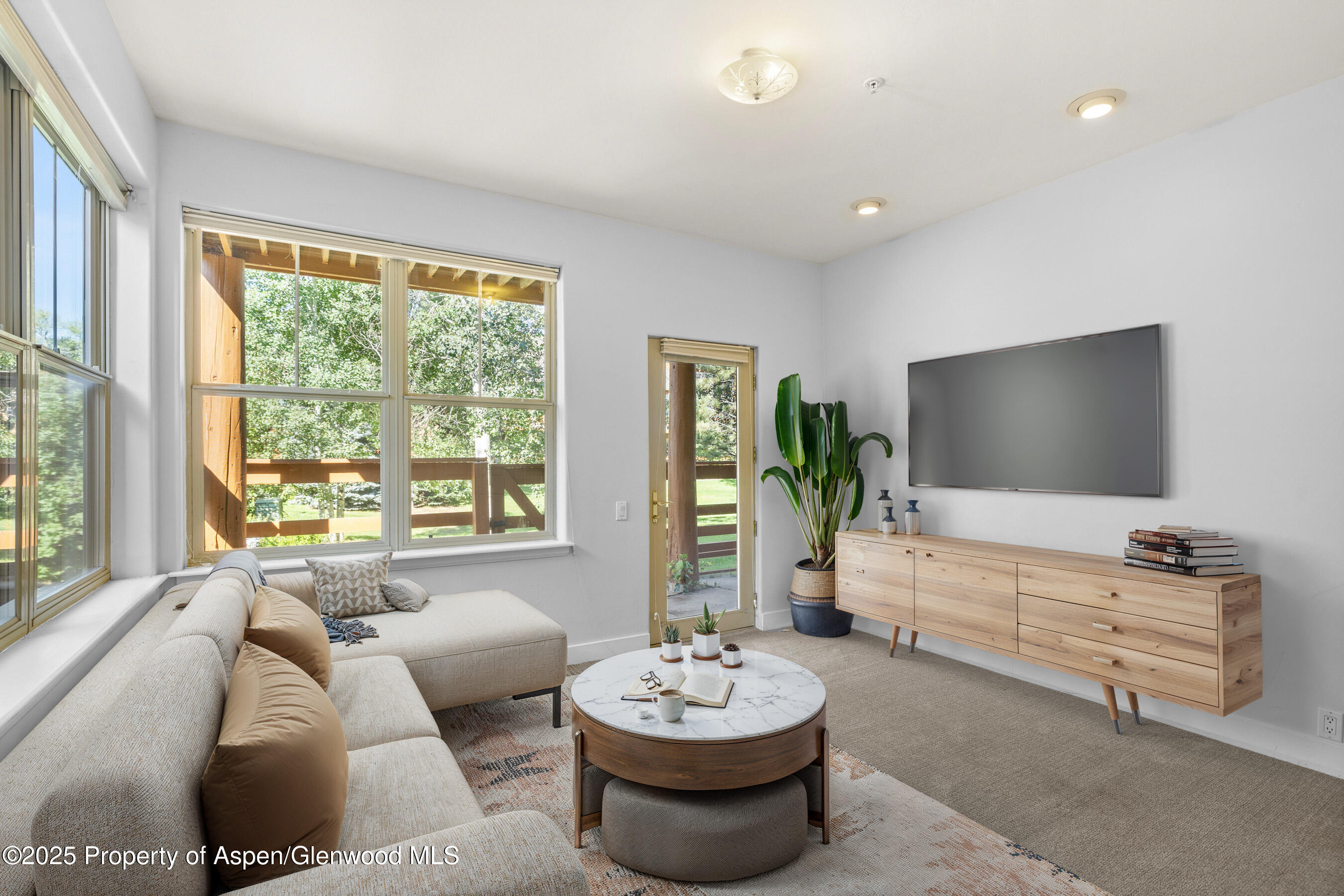 540 Evans Court Basalt, CO 81621 - Photo 20 of 24 a living room with furniture and a flat screen tv