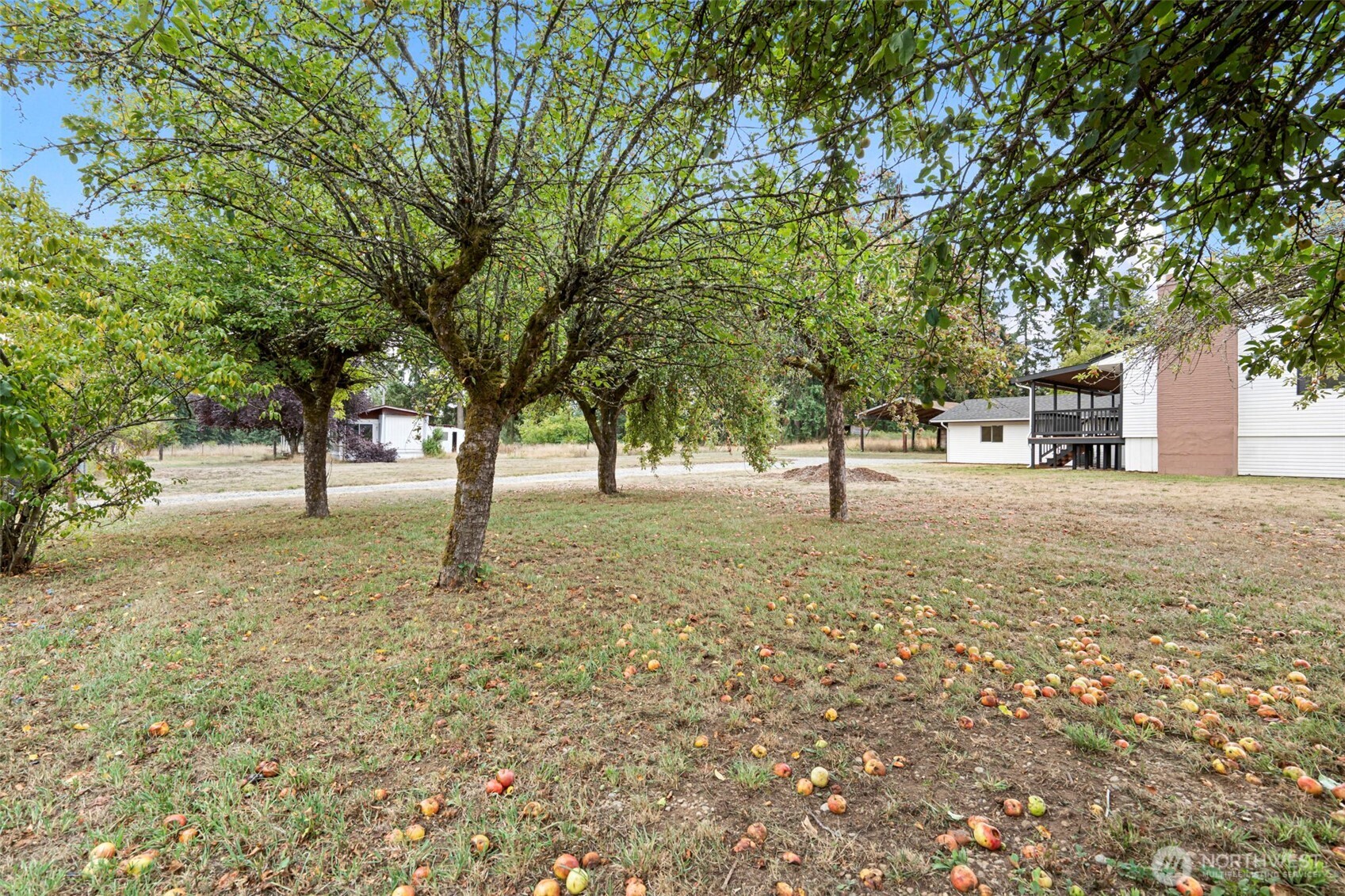 7804 280th Street South Roy, WA 98580 - Photo 31 of 33 a view of outdoor space with deck and trees