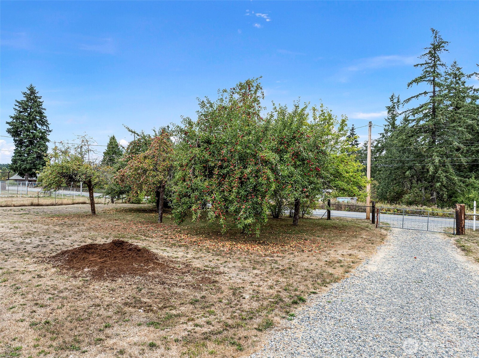 7804 280th Street South Roy, WA 98580 - Photo 4 of 34