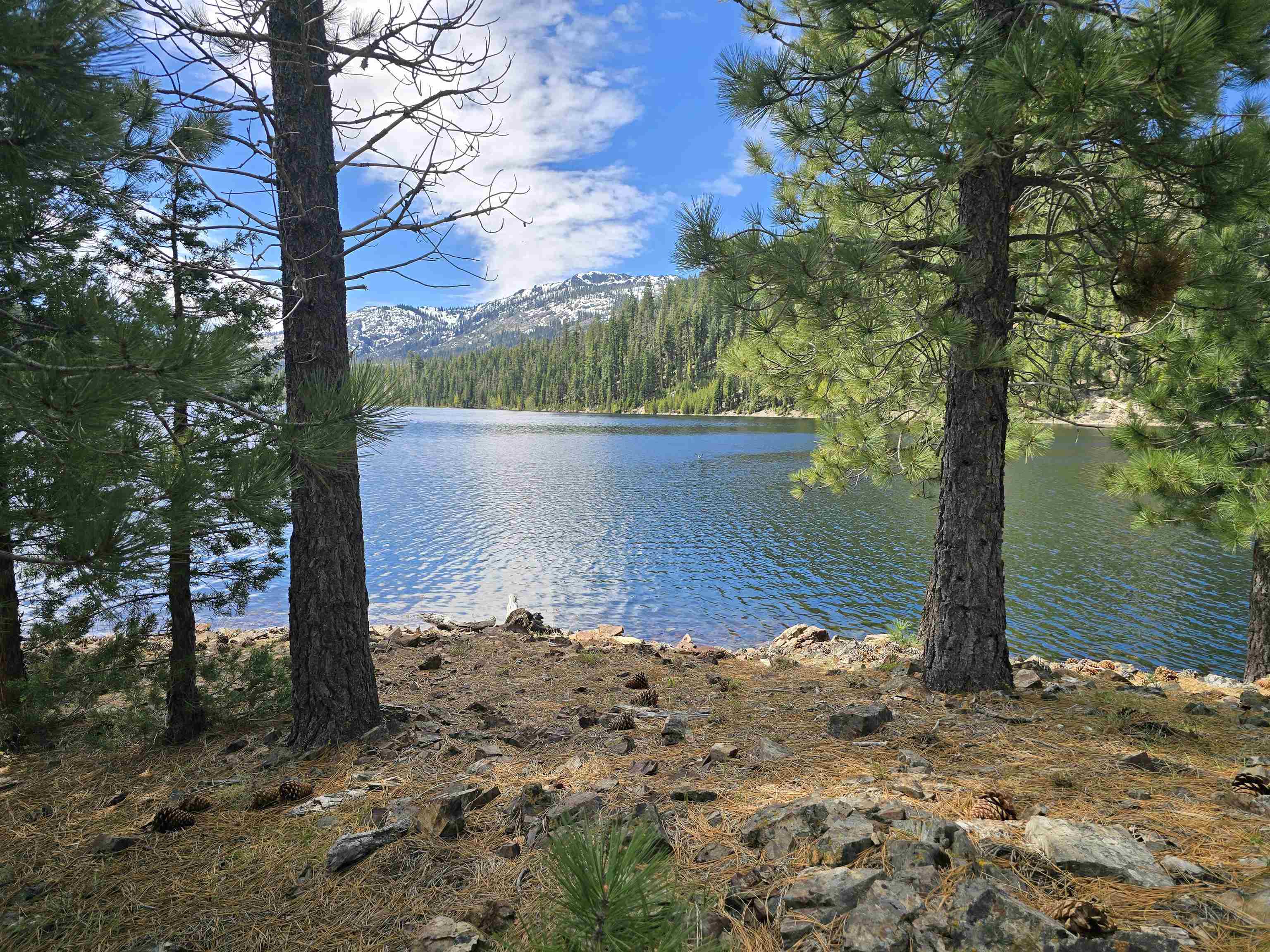 Henness Pass Road Sierra City, CA 96125 - Photo 21 of 28