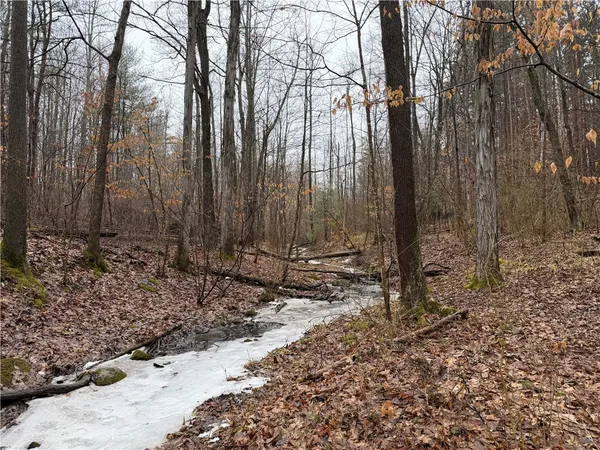 $150,000 | Lakemont Himrod Road, Dundee, NY 14837