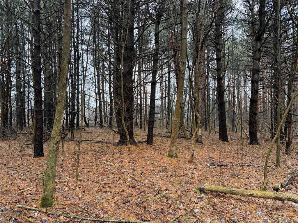 Lakemont Himrod Road Dundee, NY 14837 - Photo 11 of 21