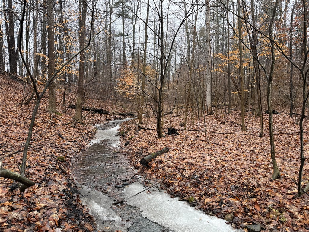 Lakemont Himrod Road Dundee, NY 14837 - Photo 13 of 21