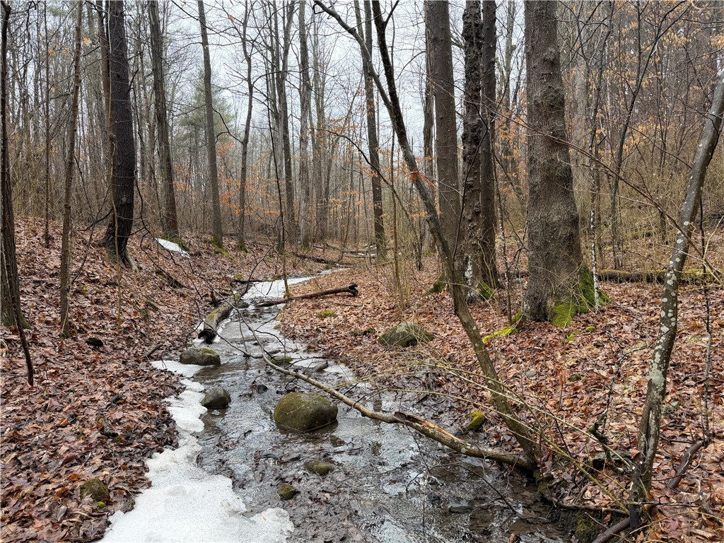 Lakemont Himrod Road Dundee, NY 14837 - Photo 14 of 21