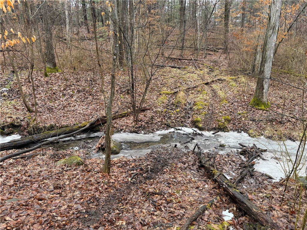 Lakemont Himrod Road Dundee, NY 14837 - Photo 15 of 21