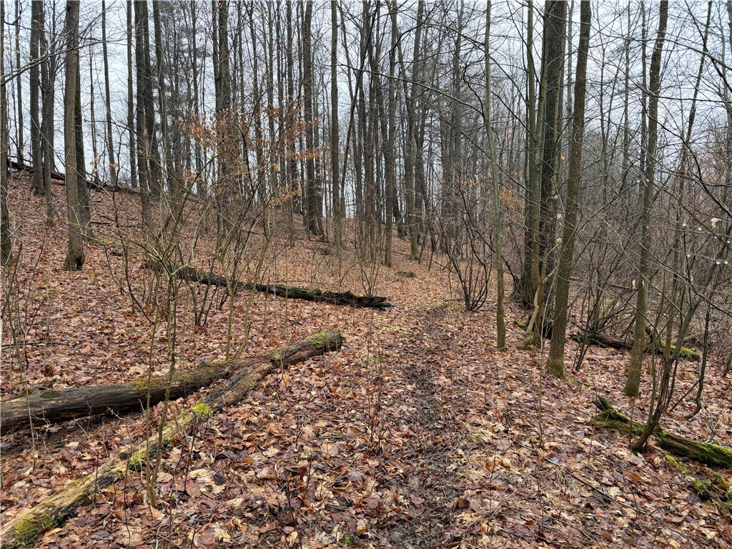 Lakemont Himrod Road Dundee, NY 14837 - Photo 16 of 21