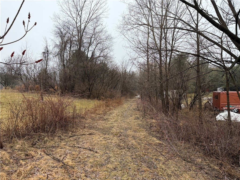 Lakemont Himrod Road Dundee, NY 14837 - Photo 2 of 21