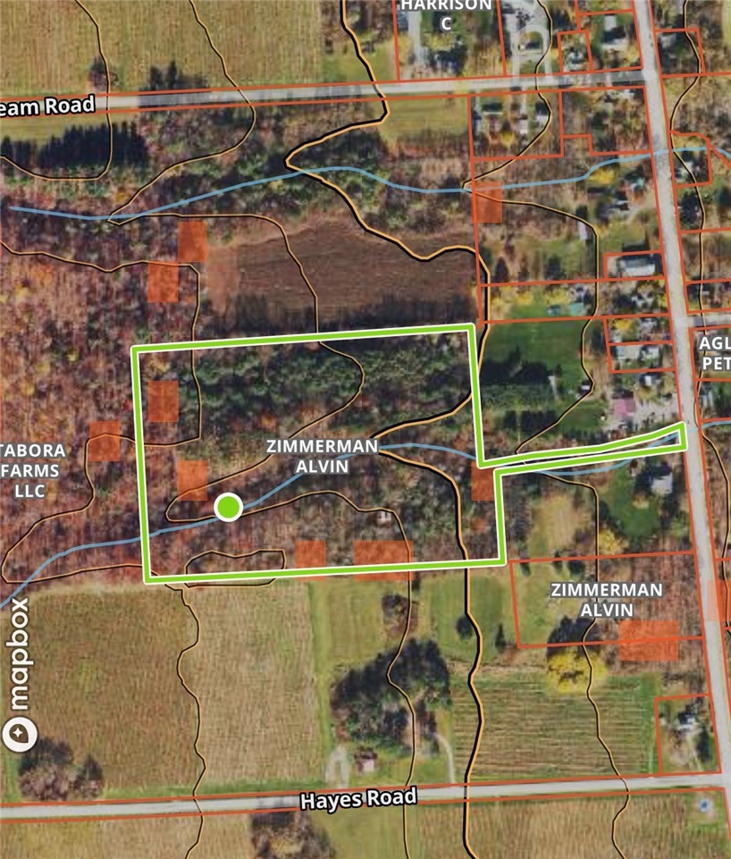 Lakemont Himrod Road Dundee, NY 14837 - Photo 21 of 21