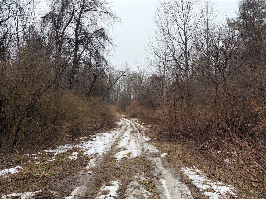 Lakemont Himrod Road Dundee, NY 14837 - Photo 3 of 21