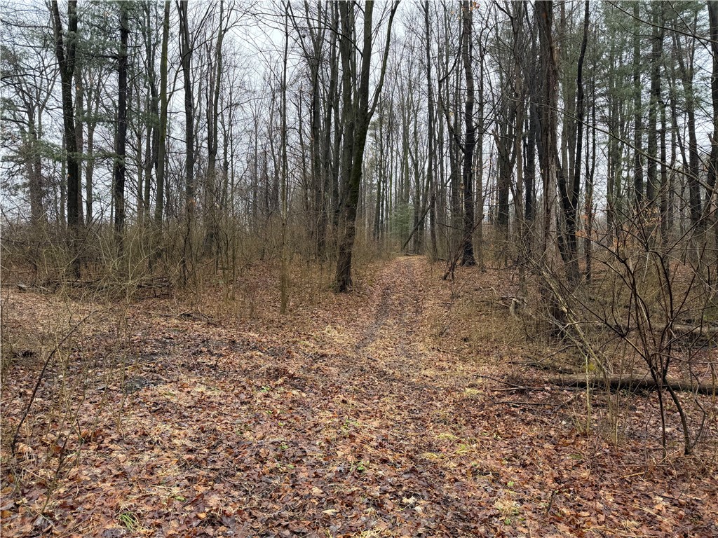 Lakemont Himrod Road Dundee, NY 14837 - Photo 4 of 21