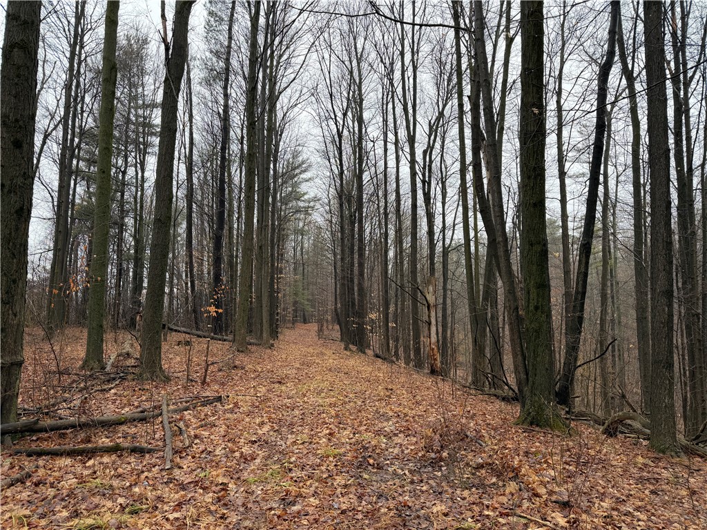 Lakemont Himrod Road Dundee, NY 14837 - Photo 5 of 21