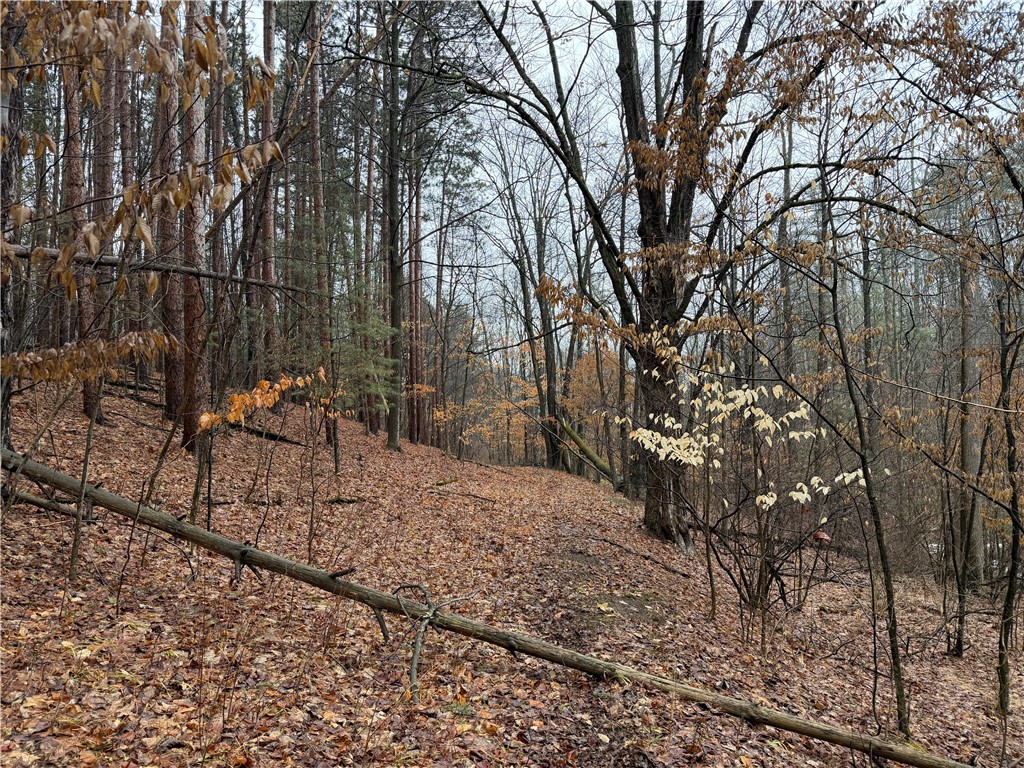 Lakemont Himrod Road Dundee, NY 14837 - Photo 6 of 21