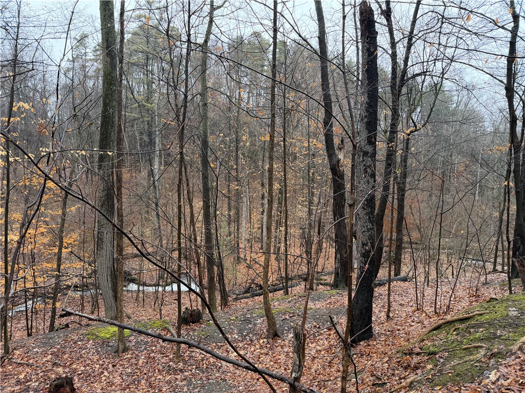 Lakemont Himrod Road Dundee, NY 14837 - Photo 7 of 21