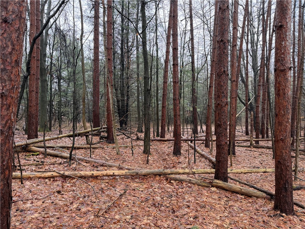 Lakemont Himrod Road Dundee, NY 14837 - Photo 8 of 21