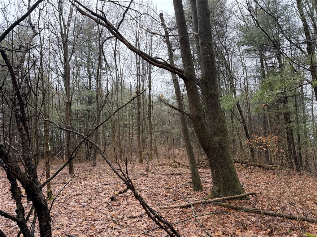 Lakemont Himrod Road Dundee, NY 14837 - Photo 10 of 21