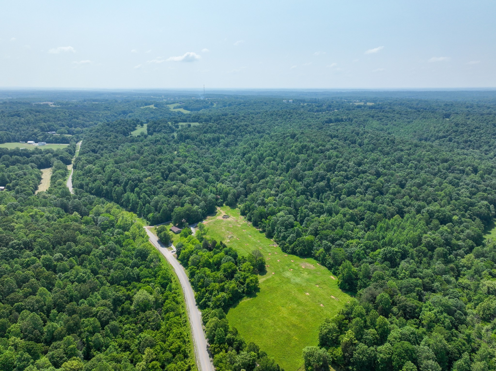 3846 Vernon Creek Road Cunningham, TN 37052 - Photo 1 of 10 a view of a big yard with plants and large trees