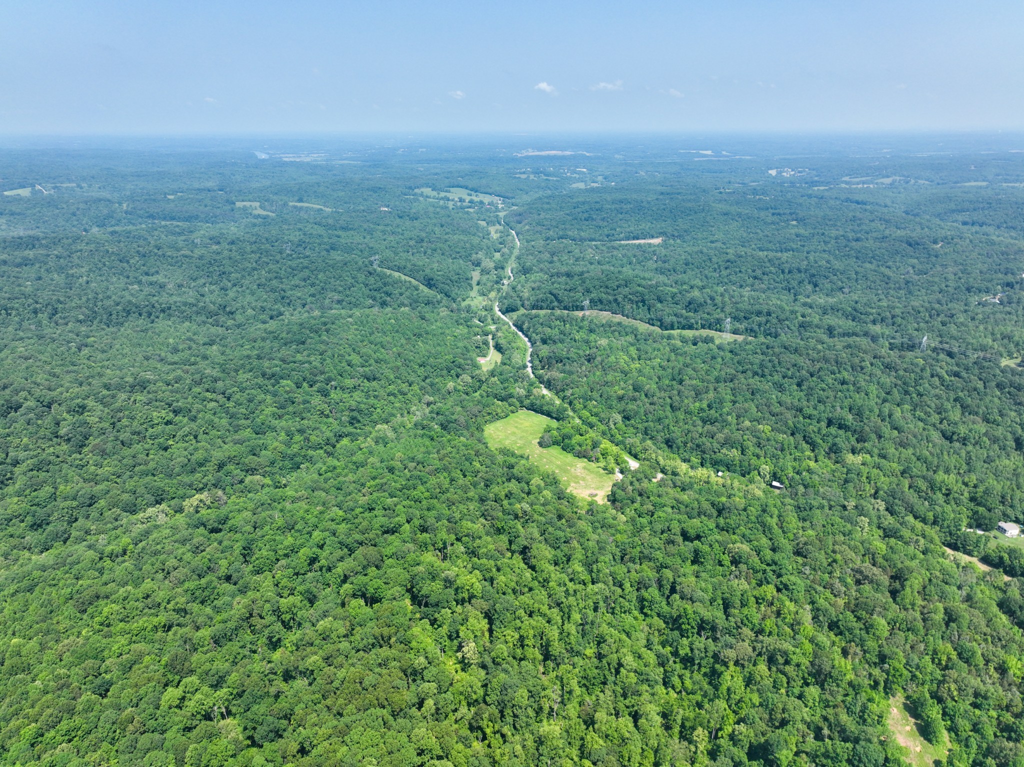 3846 Vernon Creek Road Cunningham, TN 37052 - Photo 6 of 10 a view of a green field with lots of bushes