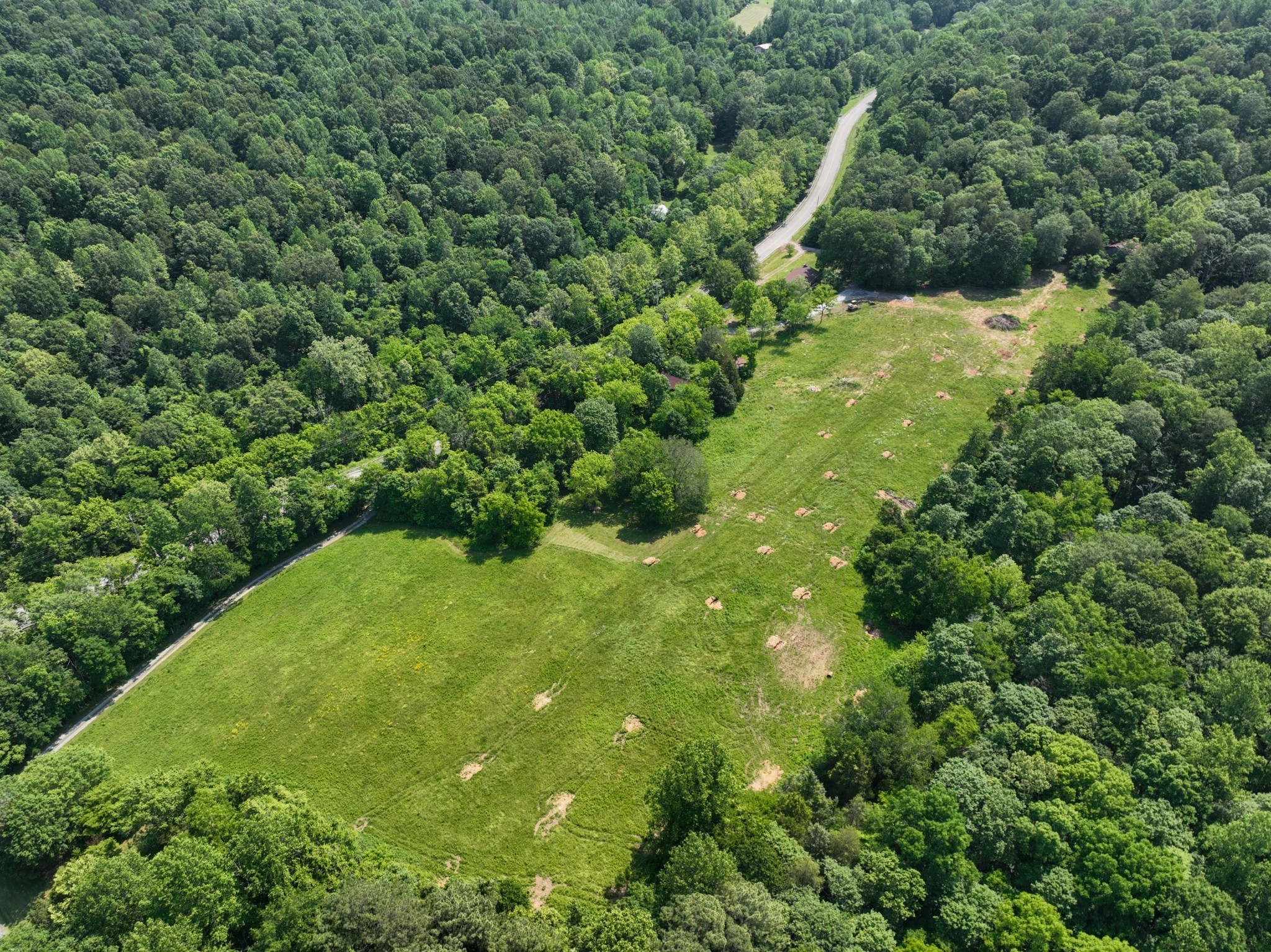 3846 Vernon Creek Road Cunningham, TN 37052 - Photo 10 of 10 a view of a garden