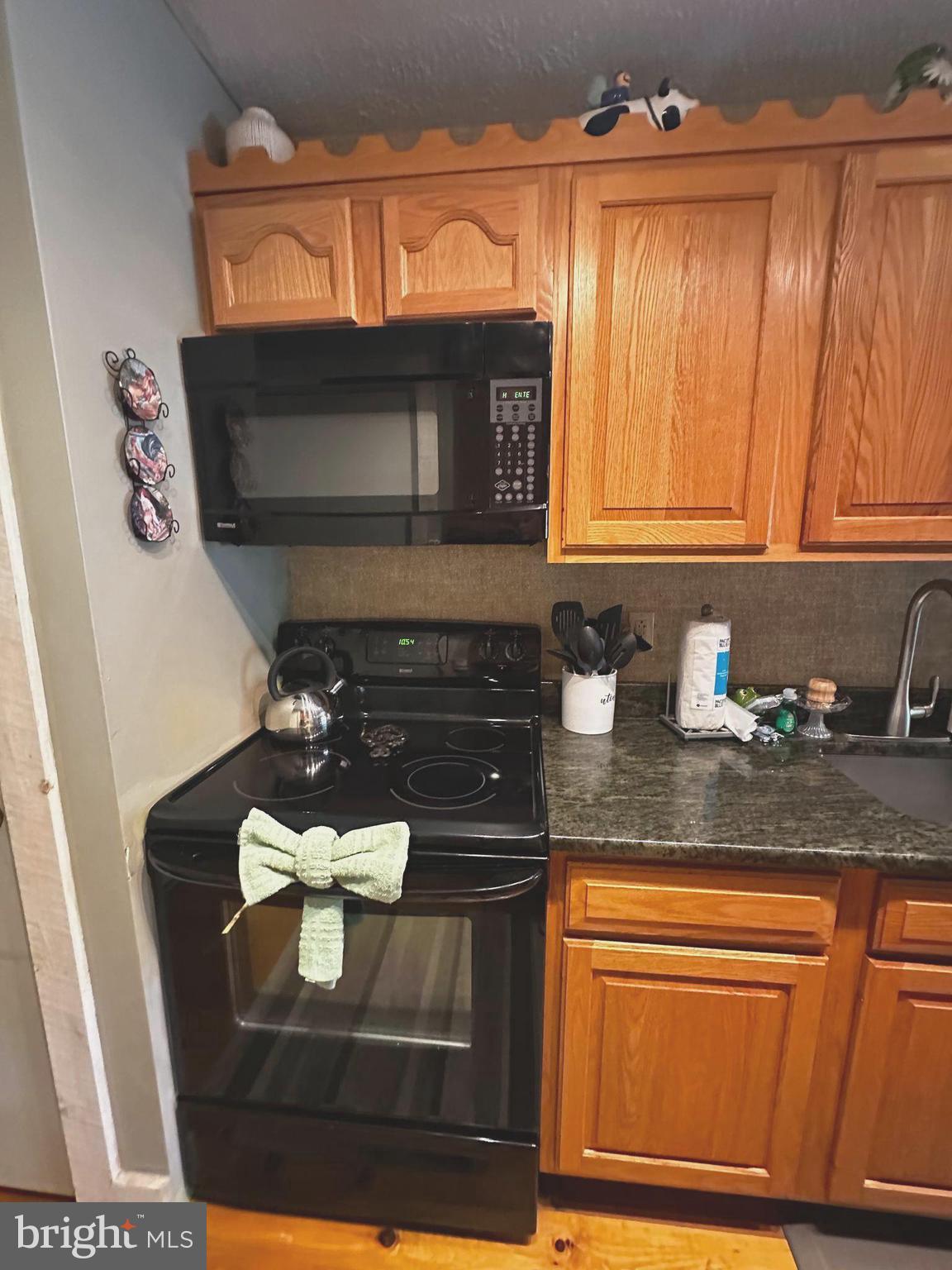306 Snow Ridge Cir Lake Lake Harmony, PA 18624 - Photo 2 of 12 Beautiful and roomy Galley Kitchen