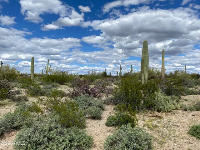 a view of city and mountain