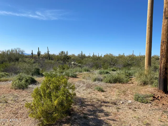 a view of a city with lush green forest
