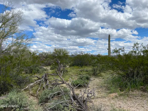a view of a city with lush green forest