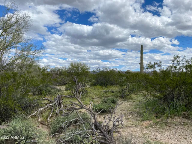 a view of a city with lush green forest