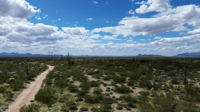 a view of a field with trees in the background