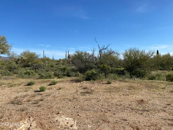 a view of lake and mountain