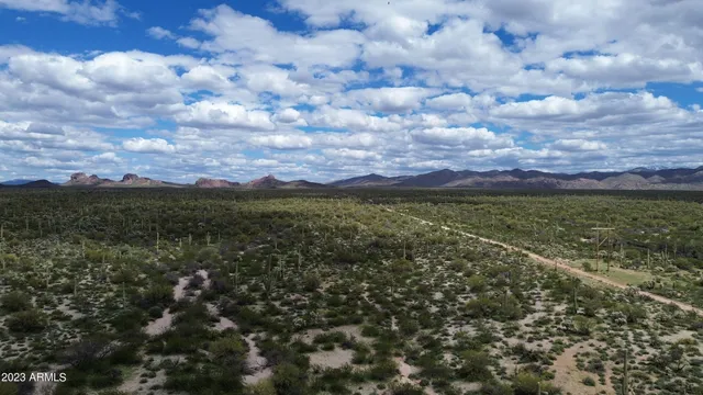 a view of a large body of water with lots of trees