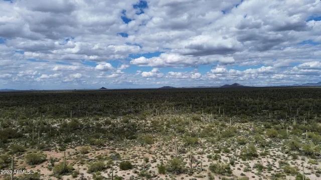 a view of yard and mountain in a back