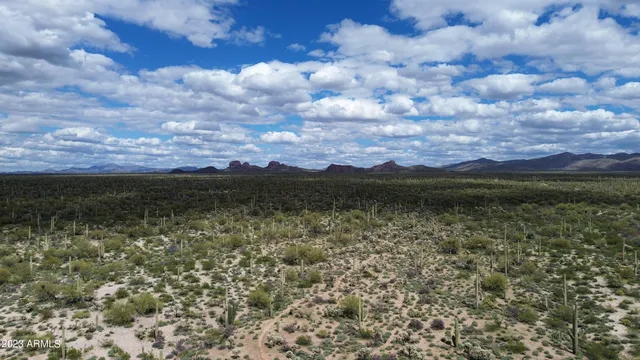 a view of yard and mountain