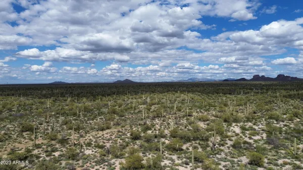 a view of a yard in front of the house