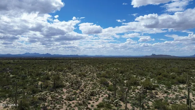 a view of city and green space