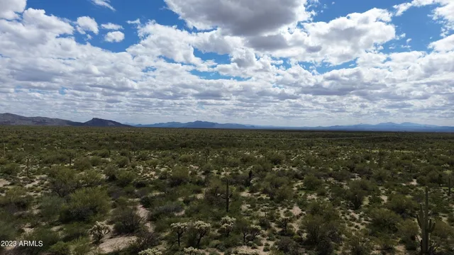 a view of a yard with an trees