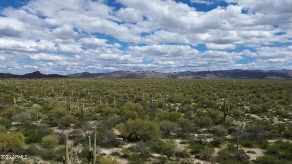 a view of a bunch of trees