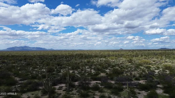 a view of city and green space