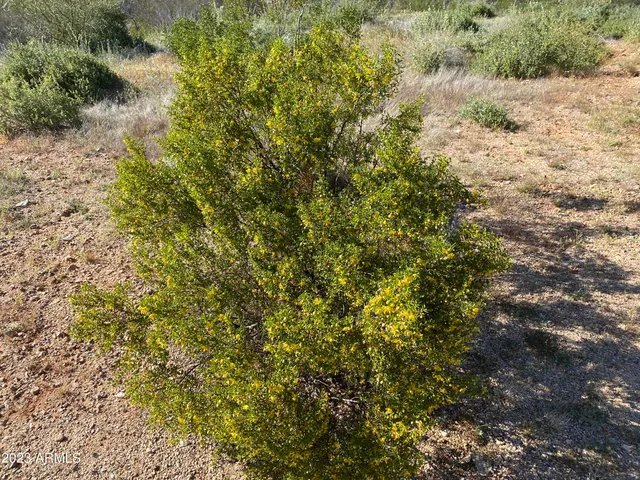 a view of a road with a mountain in the background
