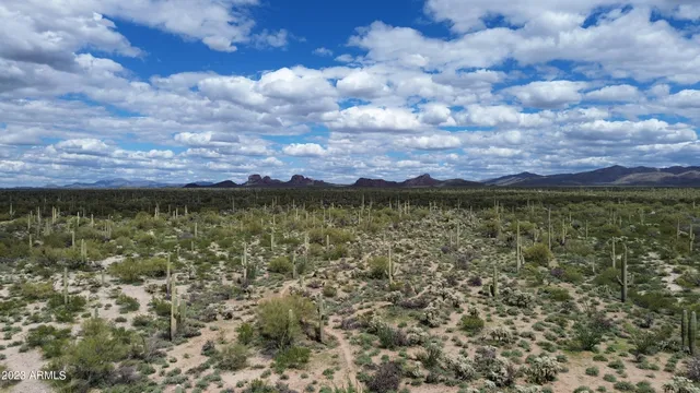 a view of a city with lots of trees