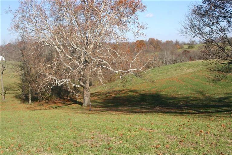 14789 Stephenson Road Morning View, KY 41063 - Photo 11 of 12
